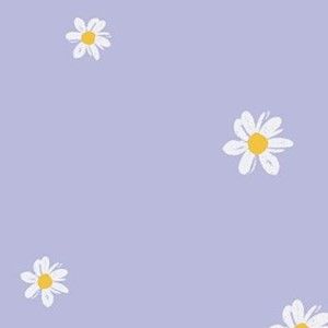 Meet your Posher, Clara